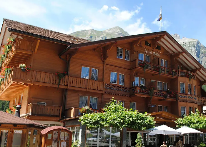 Chalet Hotel Adler AG
